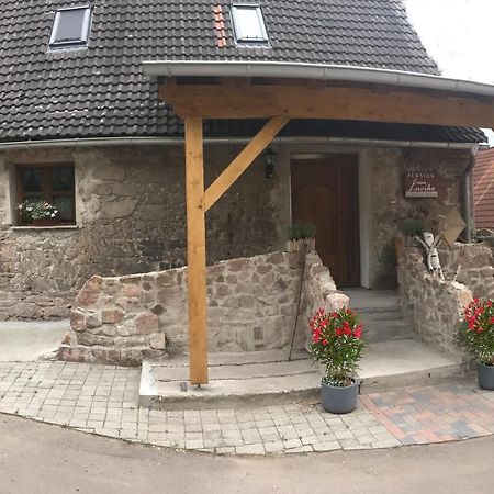 Pension Casa Luciko Brachwitz Kültér fotó